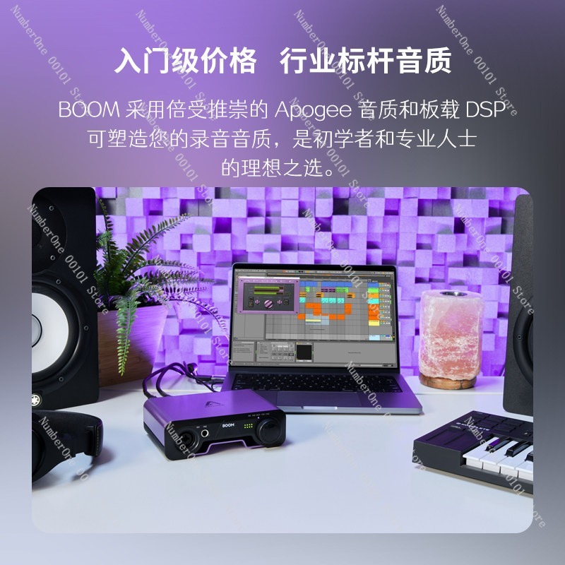 Kartu Suara Eksternal USB Prof - Audio Music Production ulasan dan harga